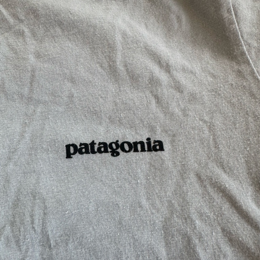 Patagonia Light Gray Tee
